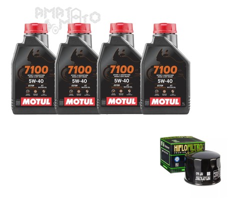 Kit tagliando bmw - r, gs
